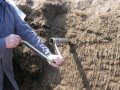 Probenziehung mit Bohrstock zur Silageentnahme aus tieferen Stellen eines Fahrsilos