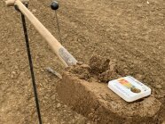 Spaten mit Bodenprobe für pH-Indikatortest