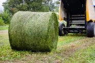 Silageballen